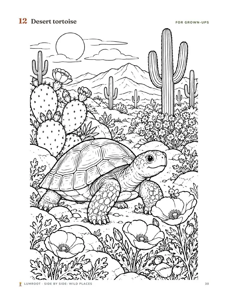 Side by Side: Wild Places printable: grown-up page page